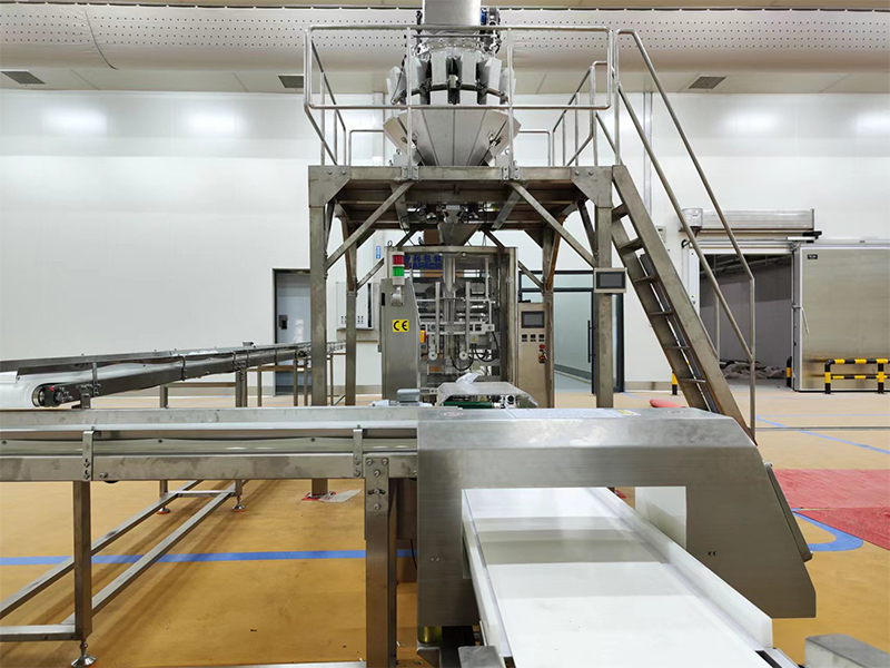 automatische verpakkingsmachine voor bevroren food.6